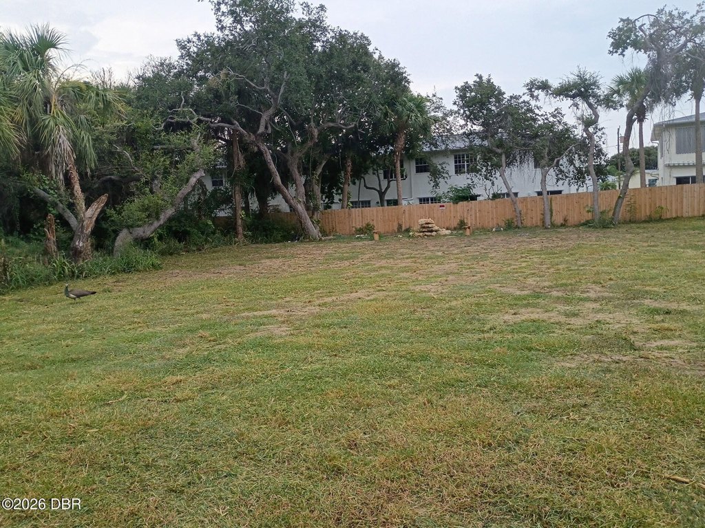 Picture 11