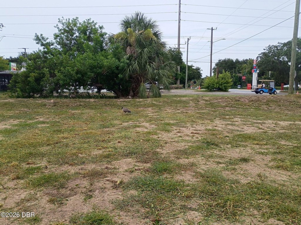 Picture 10