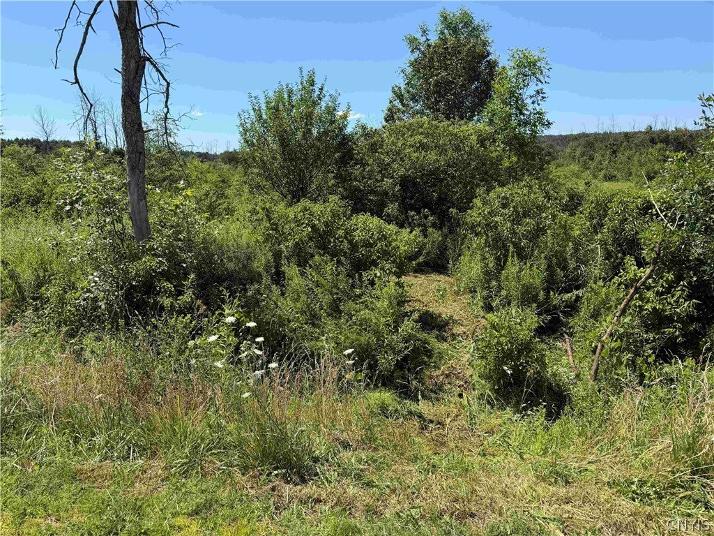 Picture 27