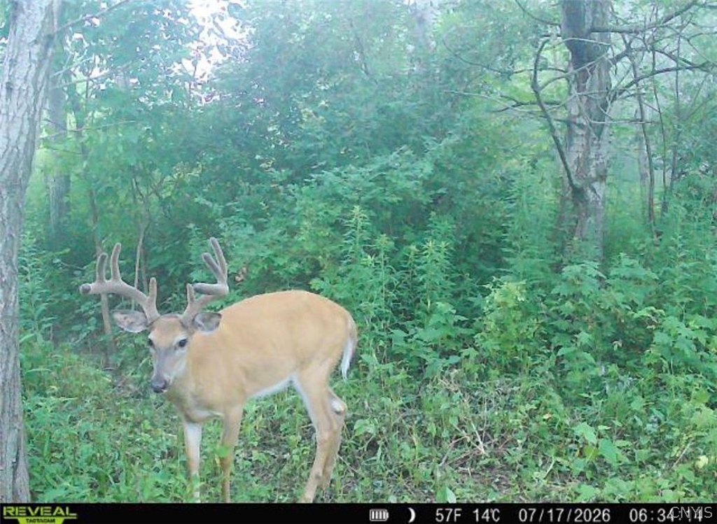 Picture 5