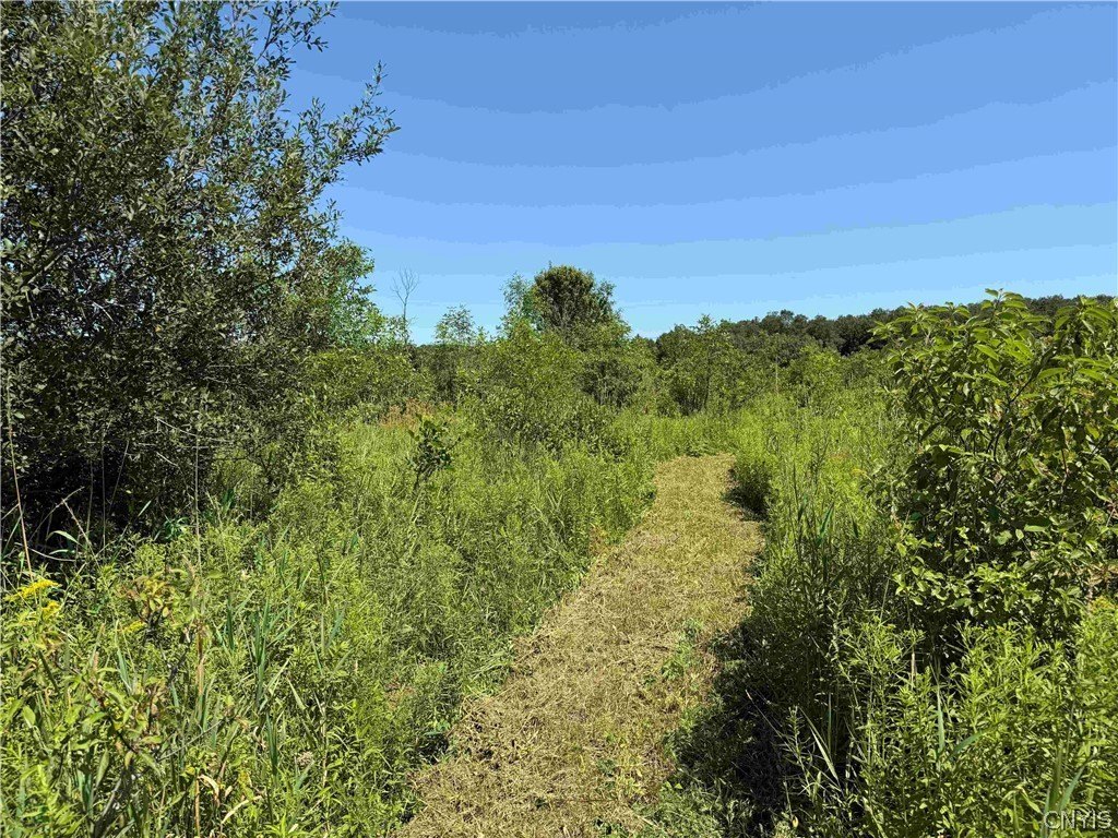 Picture 24