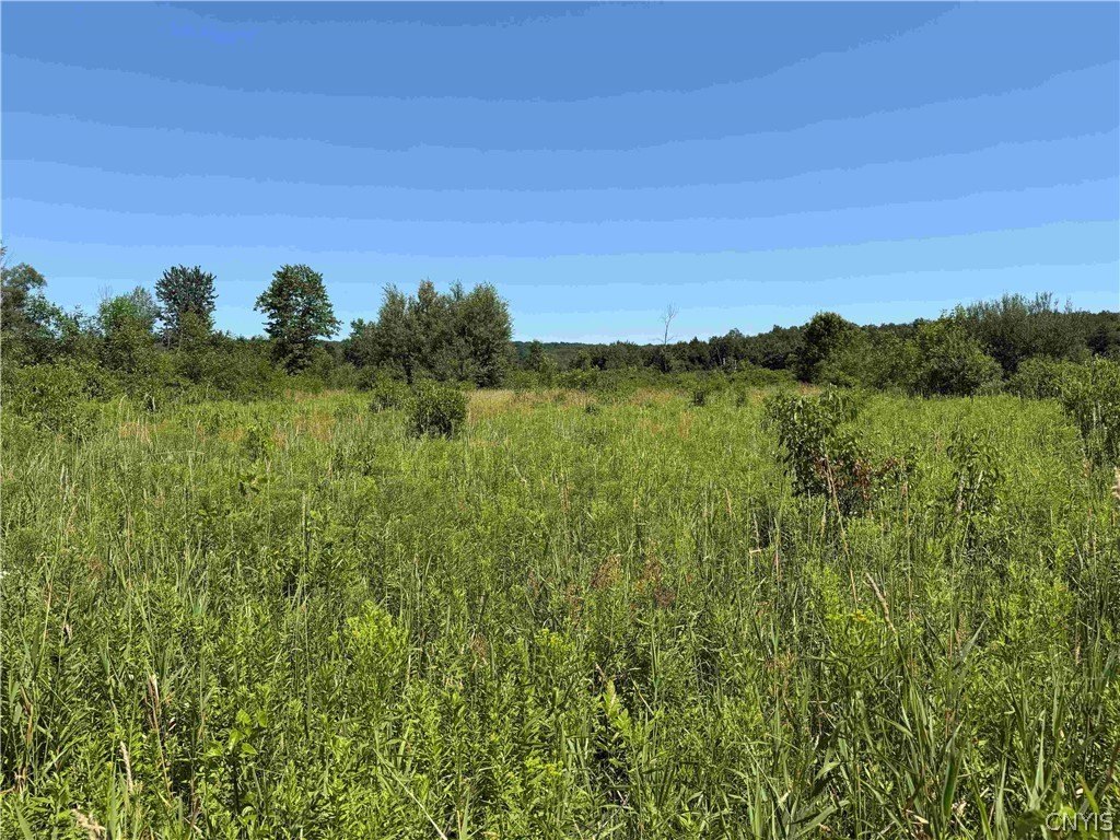 Picture 20