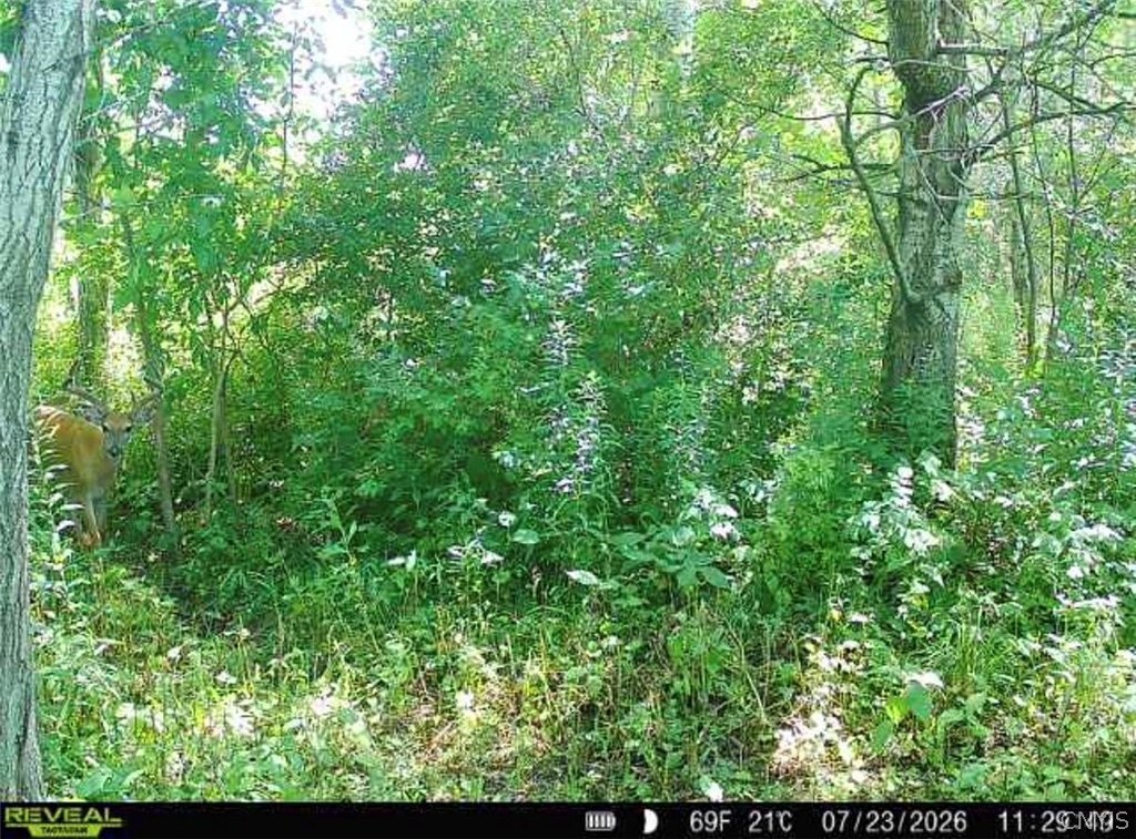 Picture 3