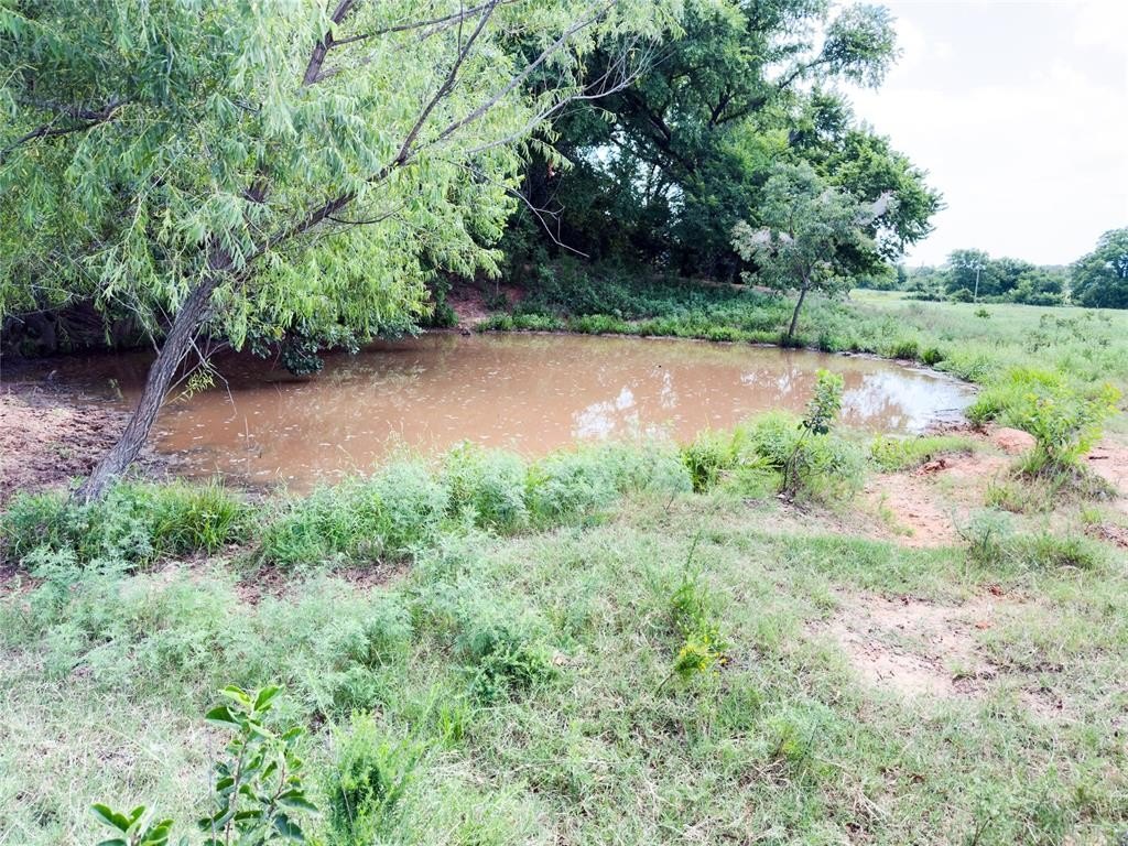 Picture 47