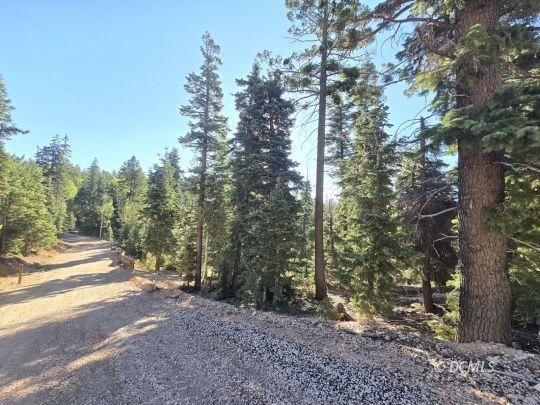Picture 11