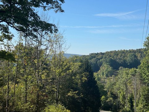 Land, Unadilla, NY