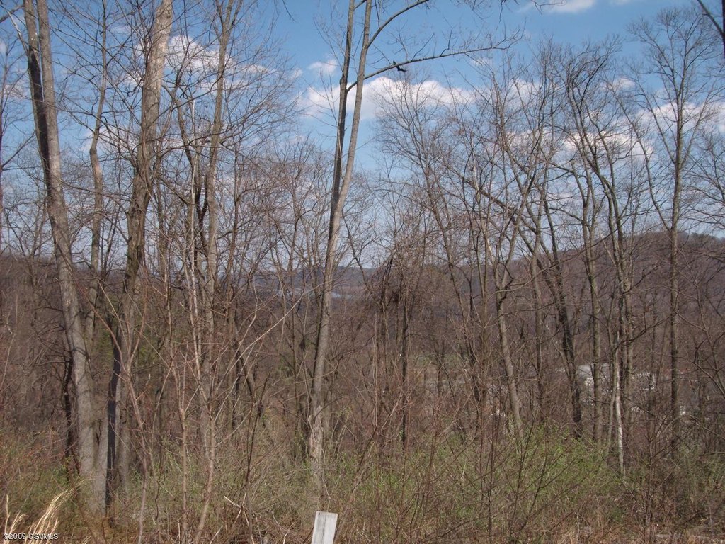 Picture 3
