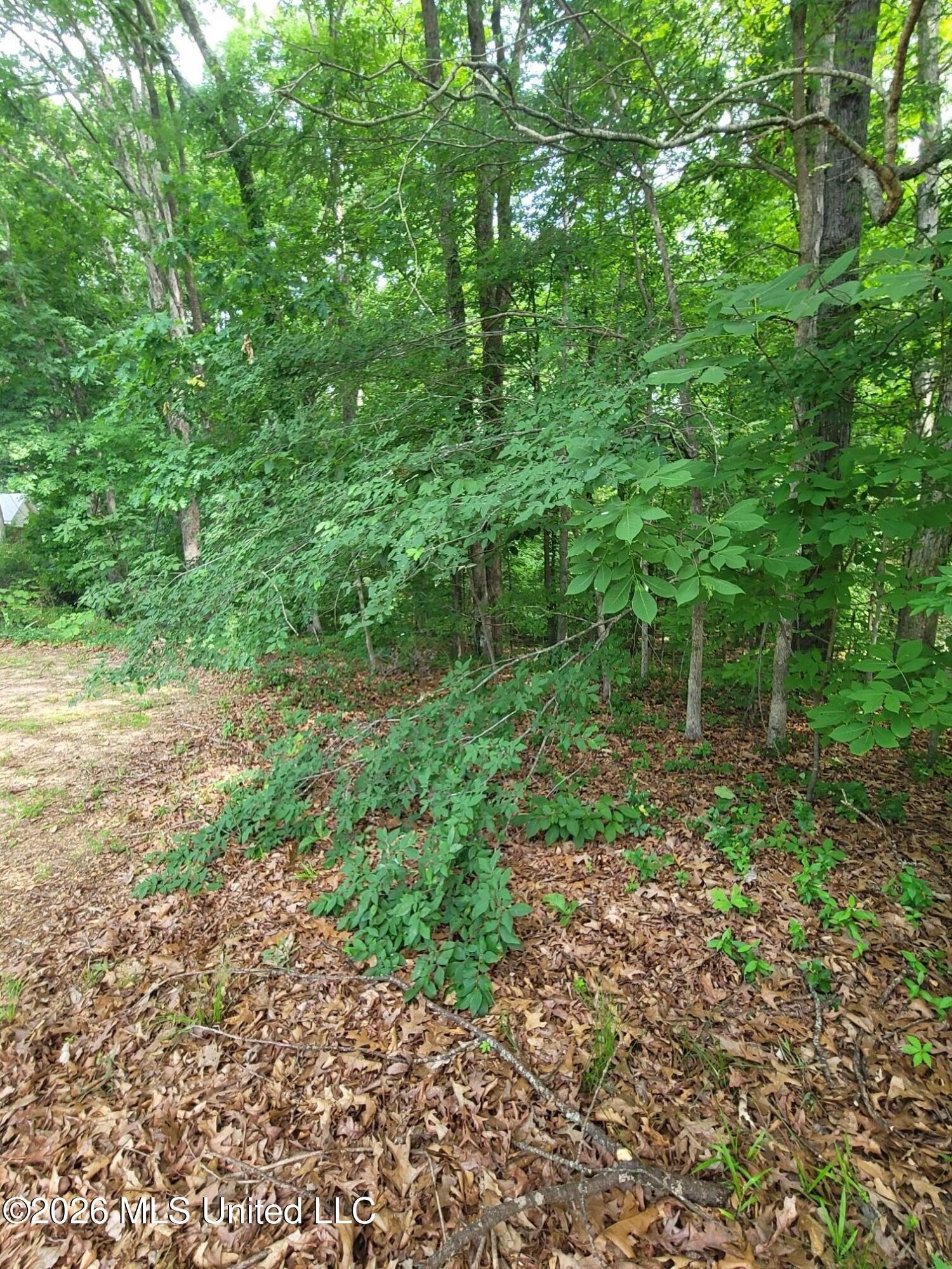 Residential Lot in Lake Community