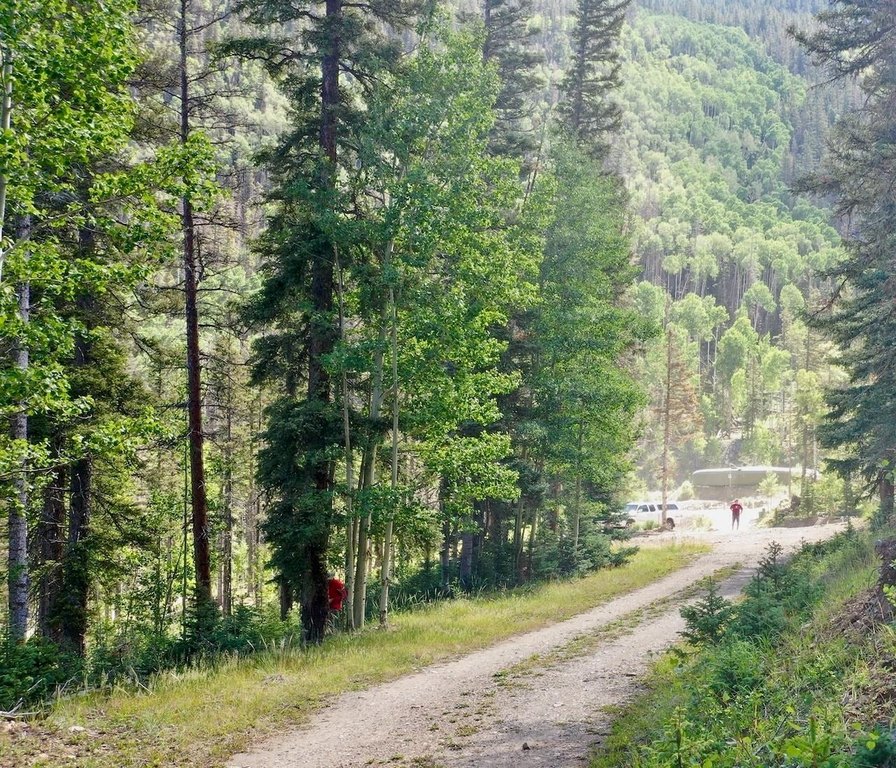 Picture 5