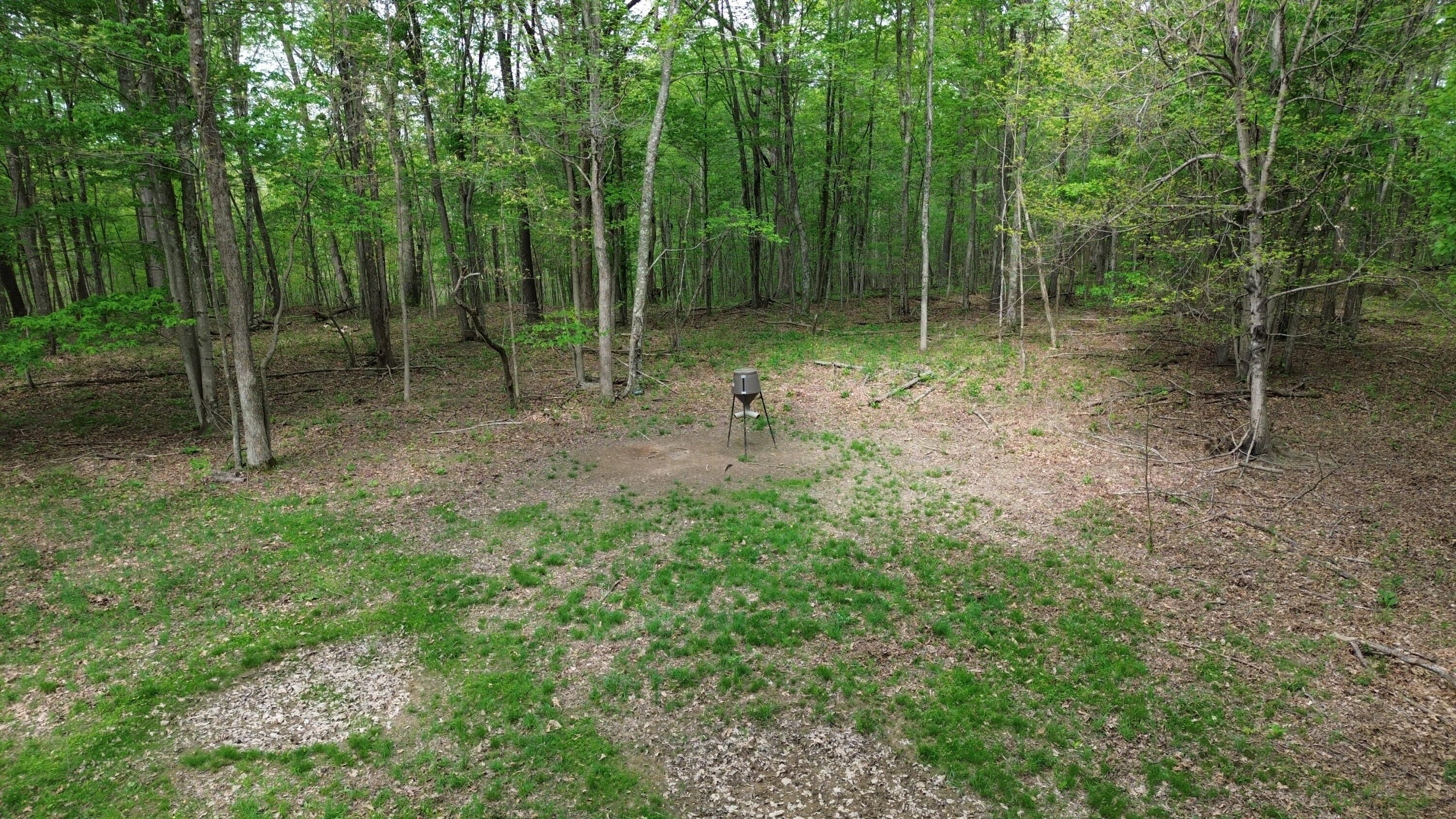 Kentucky Hunting & Recreational Land