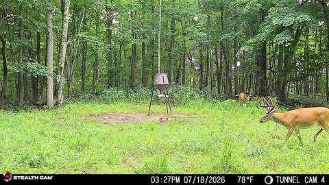 Agricultural Hunting Land Tract