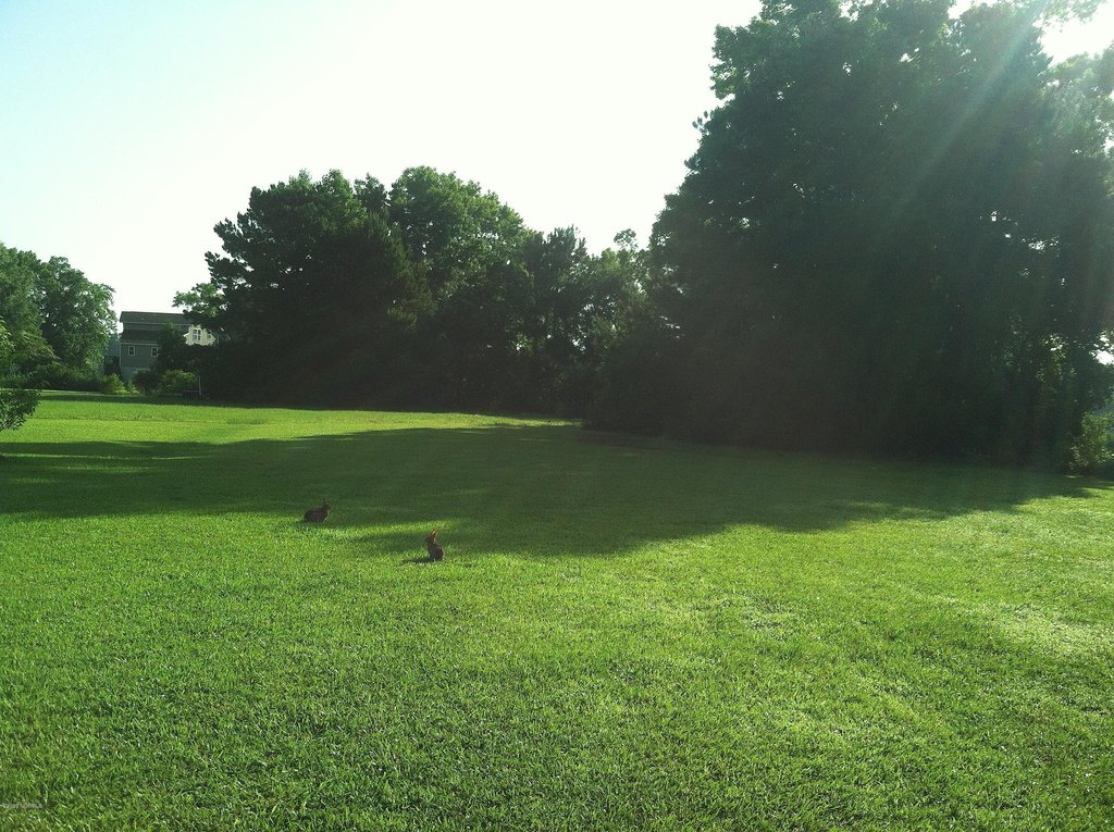Picture 7