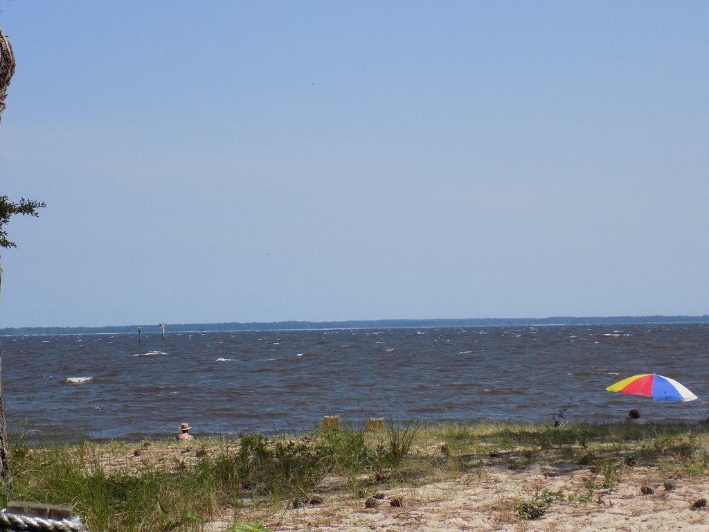 Picture 23