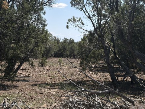 Land, Williams, AZ