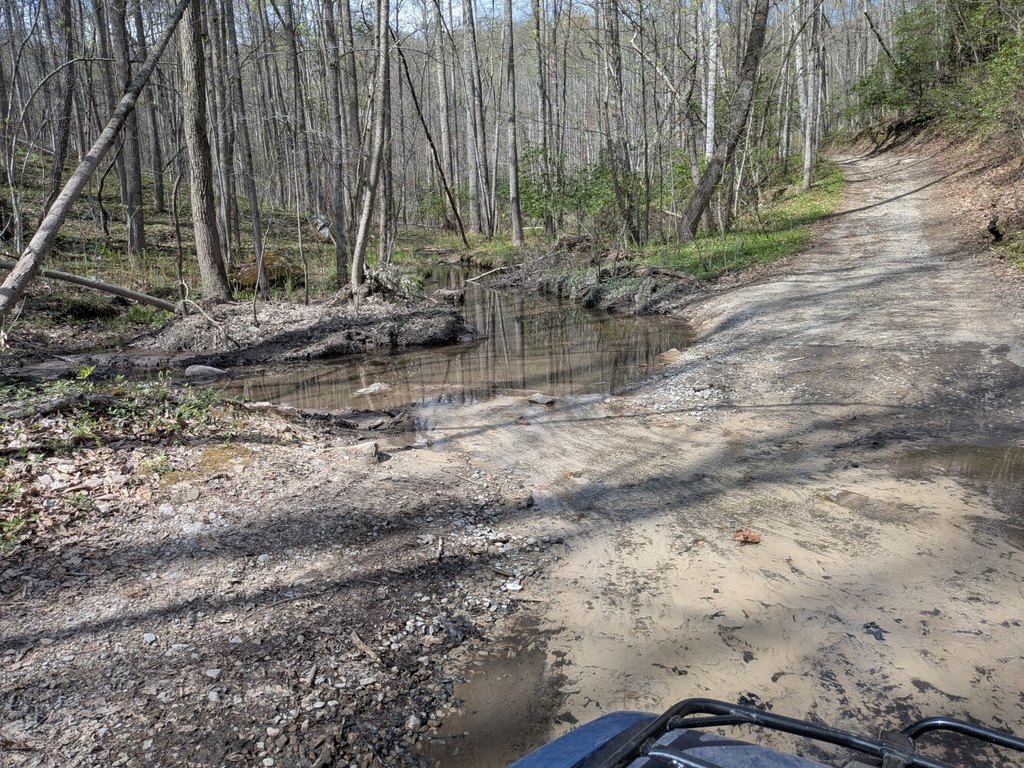 Picture 14