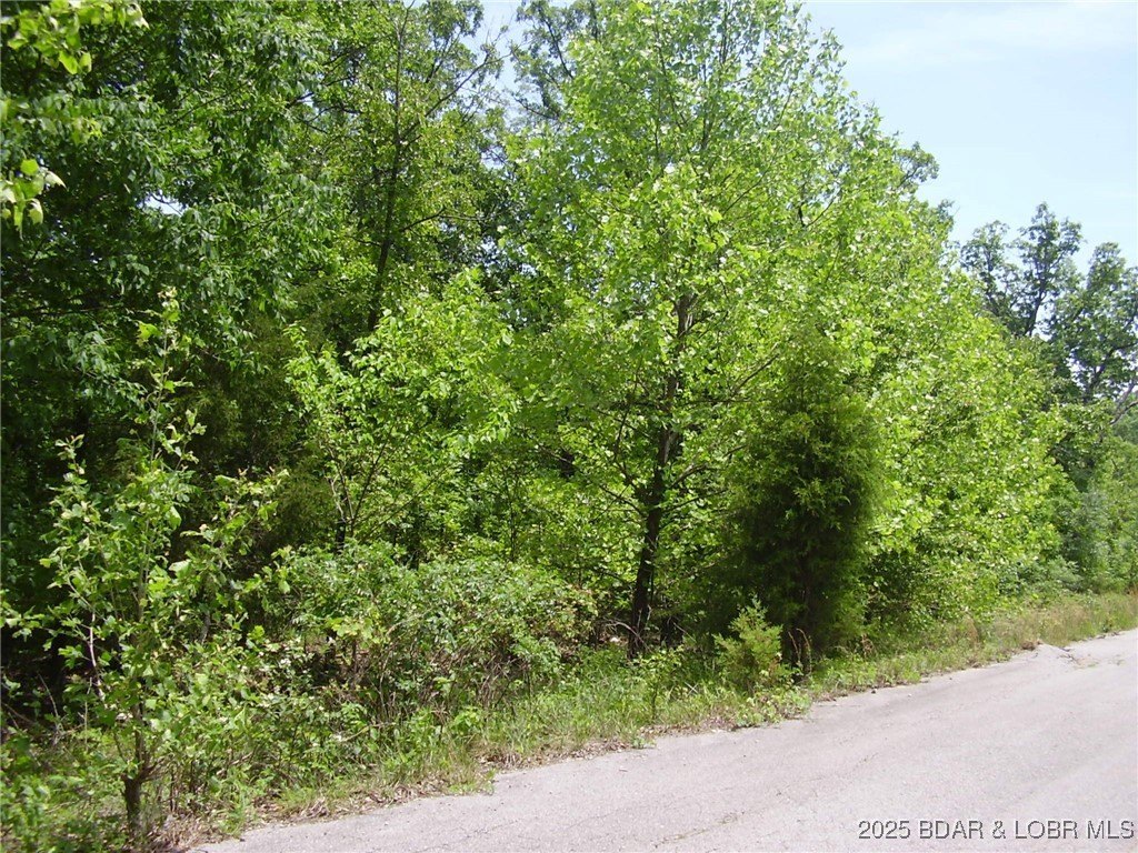 Residential Land in Camdenton, MO