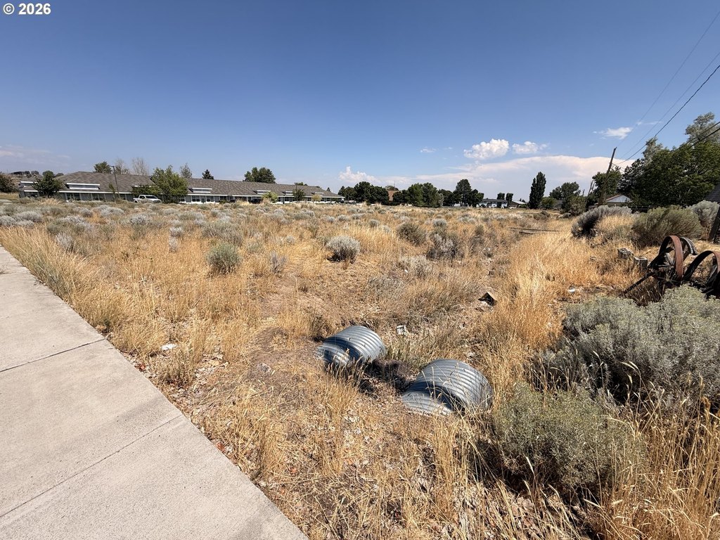 Picture 9