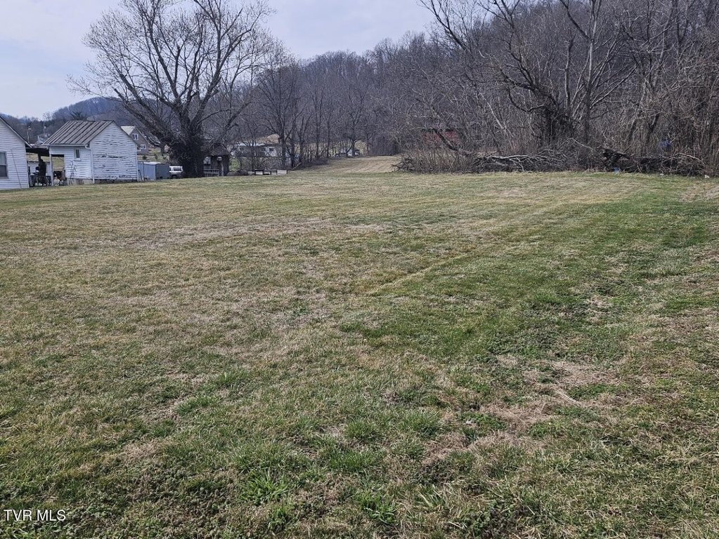 Picture 3