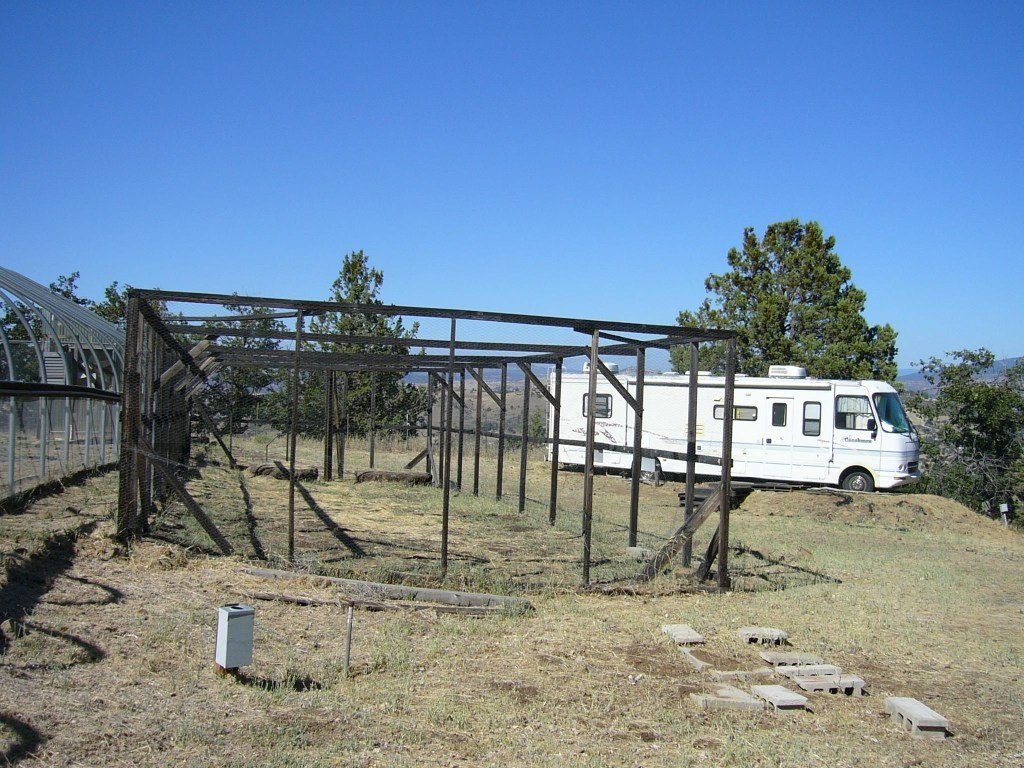 Picture 19