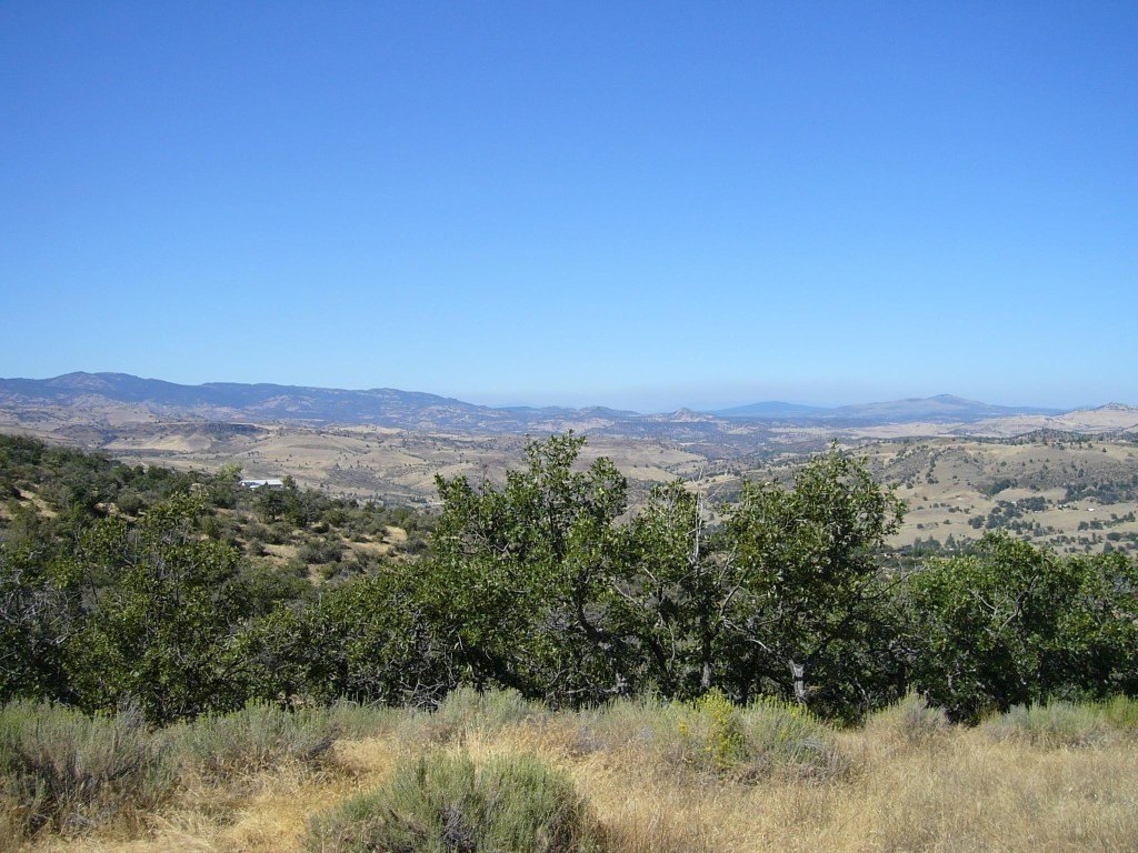 Picture 28