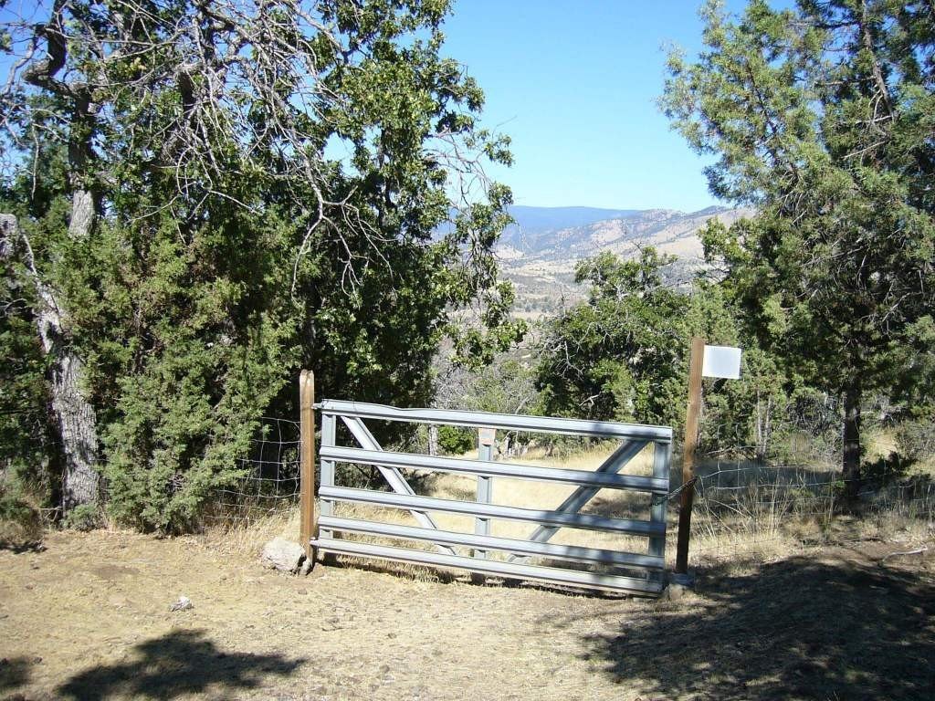 Picture 22
