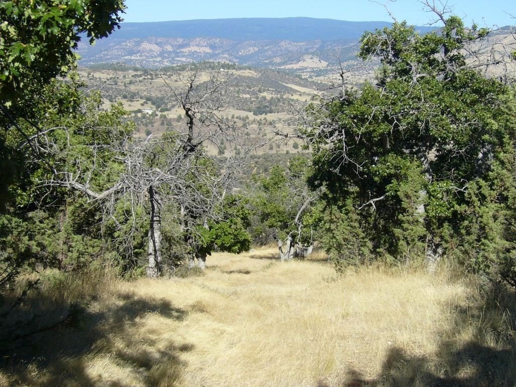Picture 35
