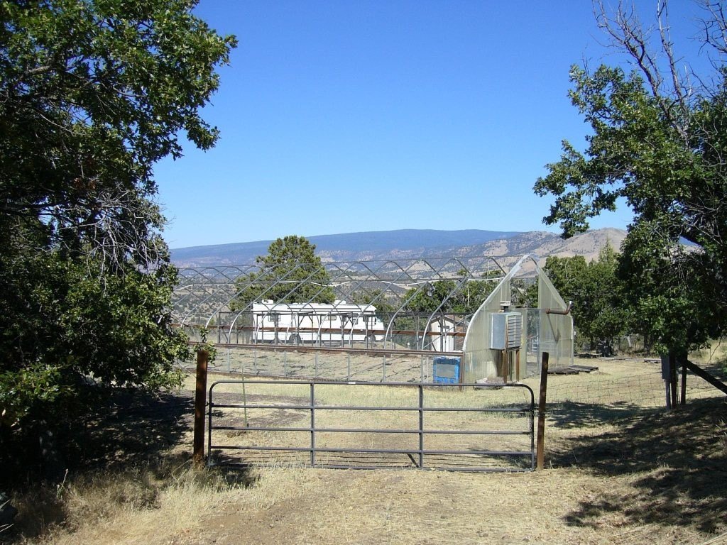 Picture 14