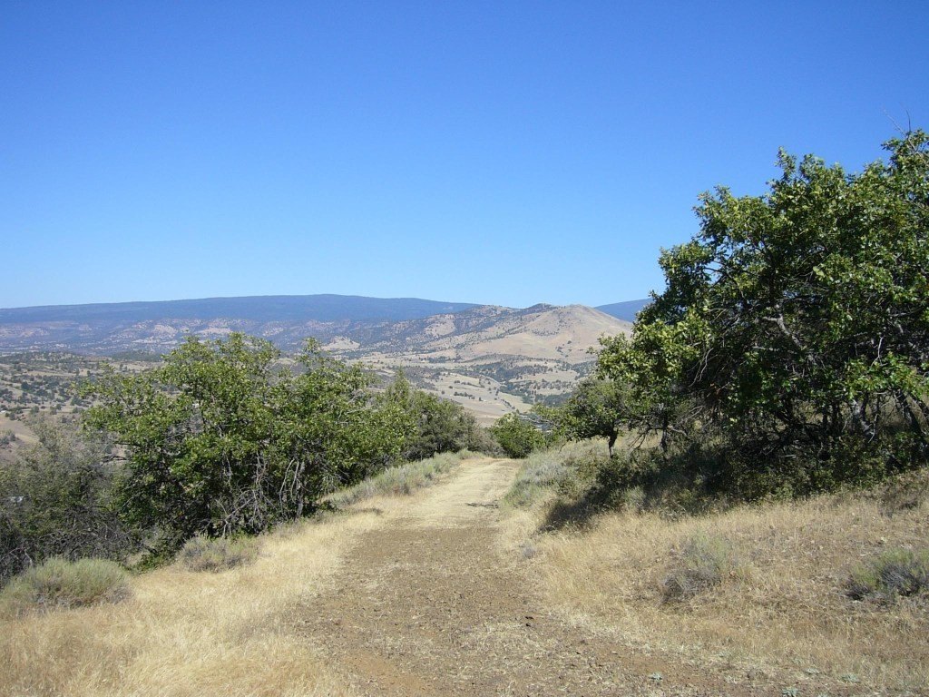 Picture 29