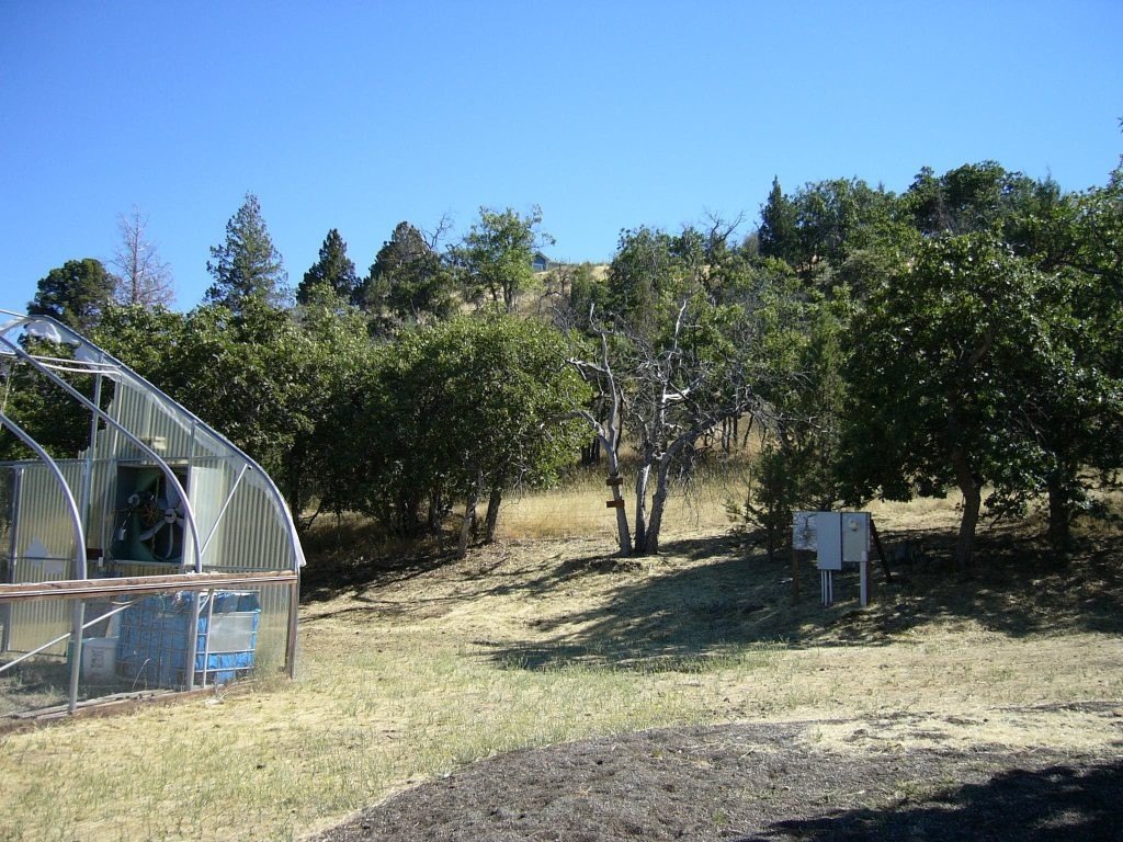 Picture 16