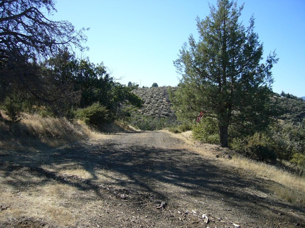 Picture 37
