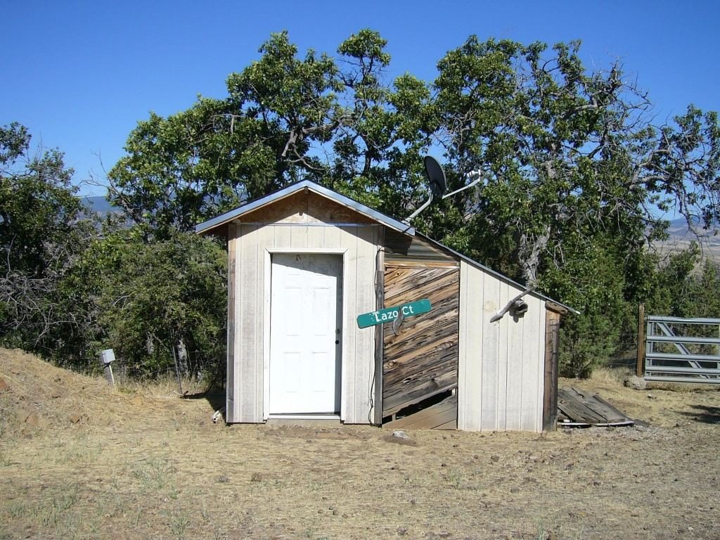 Picture 21