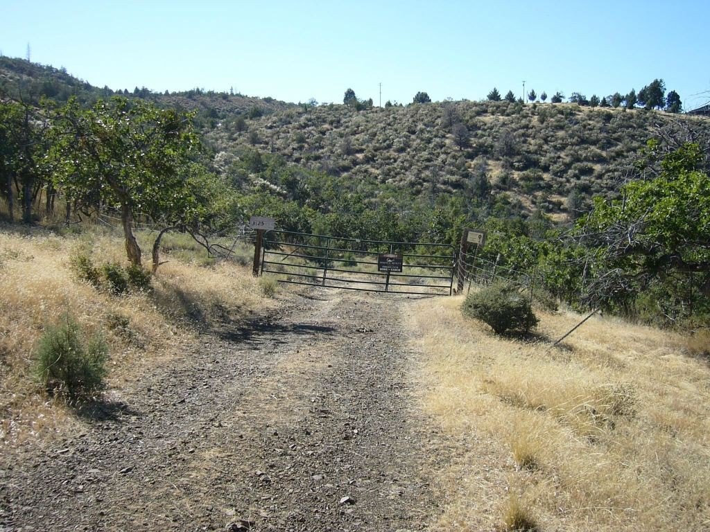 Picture 36