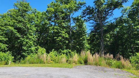 Vacant Lot - Ellijay, GA