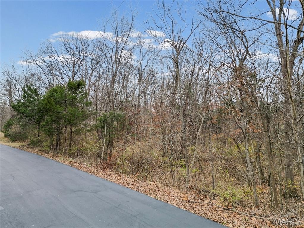 Picture 17