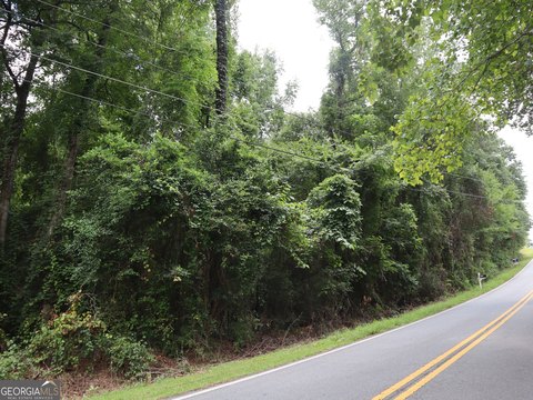 Wooded Lot Near Macon