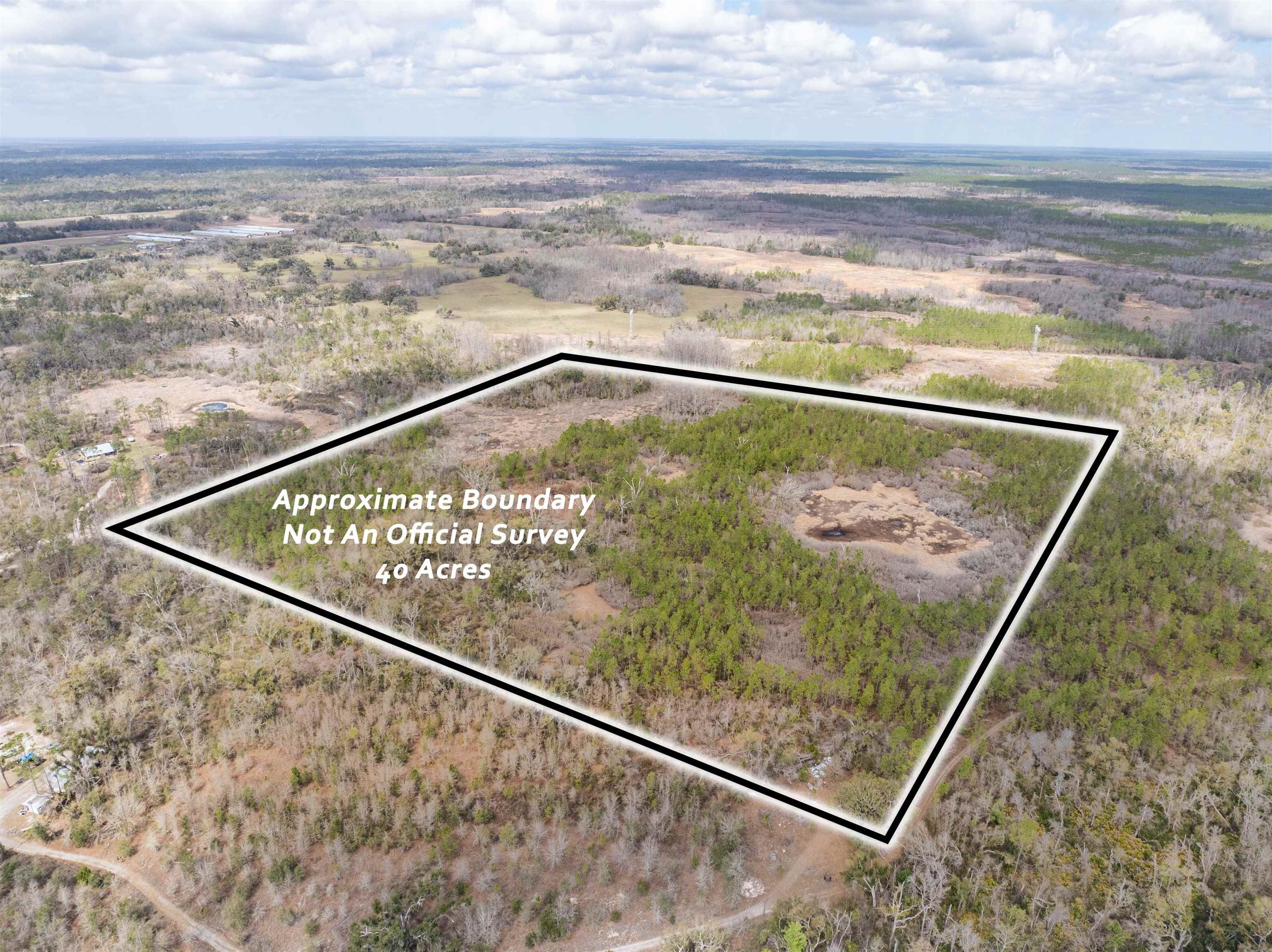 40 Acres Raw Land Perry
