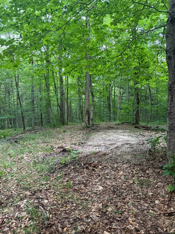 Picture 17