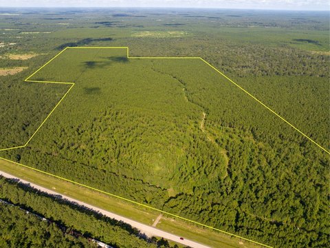 Timbered Land with Hwy Frontage