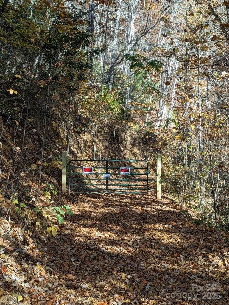 Unrestricted Land with Mountain Views