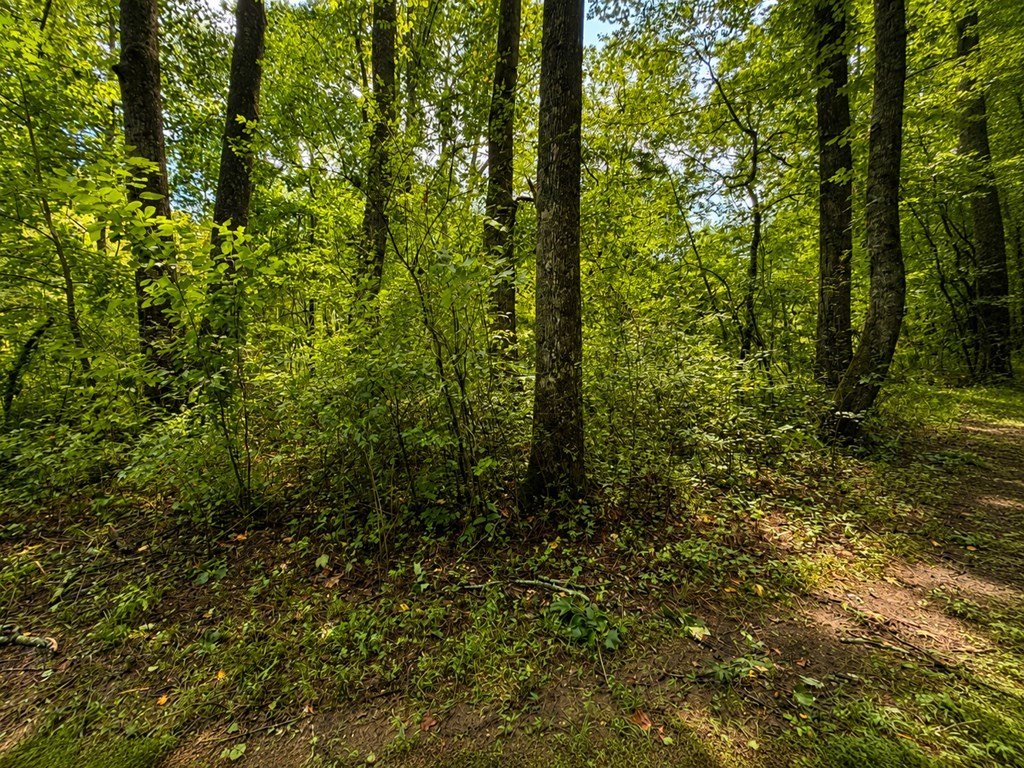 Picture 20