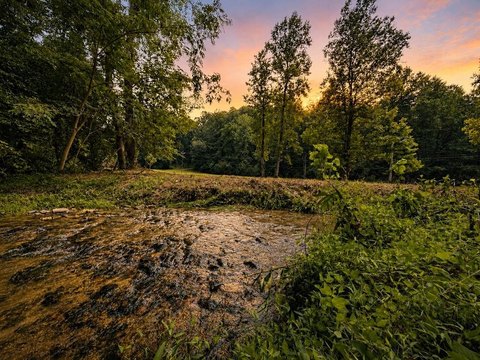 LAND - Ellijay, GA
