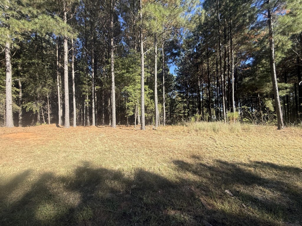 Picture 23
