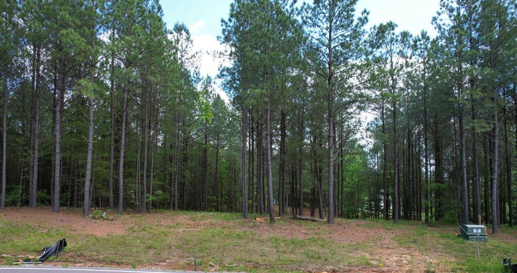 Picture 19