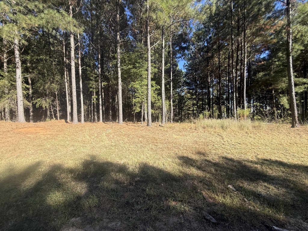 Picture 22