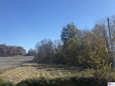 Level Commercial Land Parcel