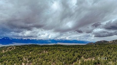 Westcliffe Wooded Land For Sale