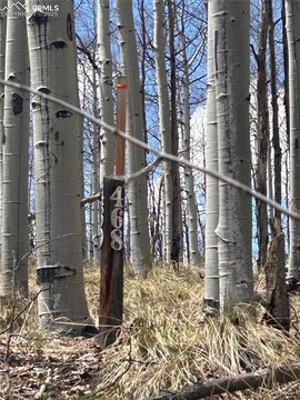 Land in Lake George, CO