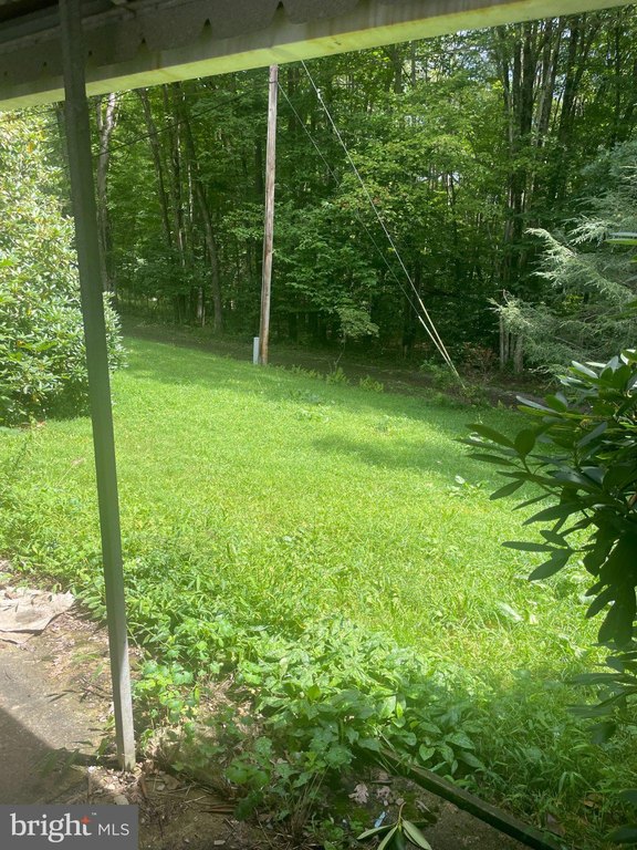 Picture 6