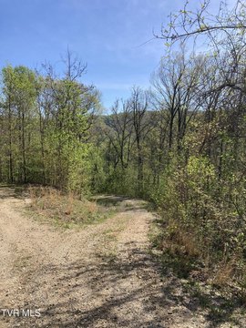 Land, Butler, TN