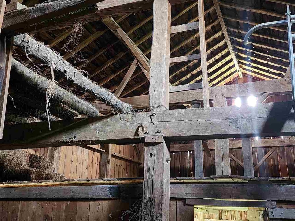 Picture 23
